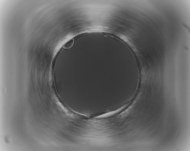 X0000100891469200807011146