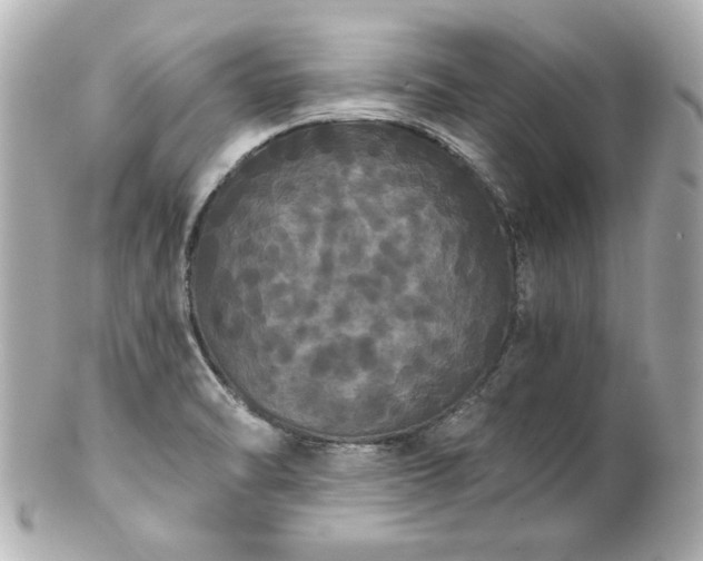 X0000100891470200807011146