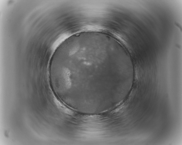 X0000100891471200807011146