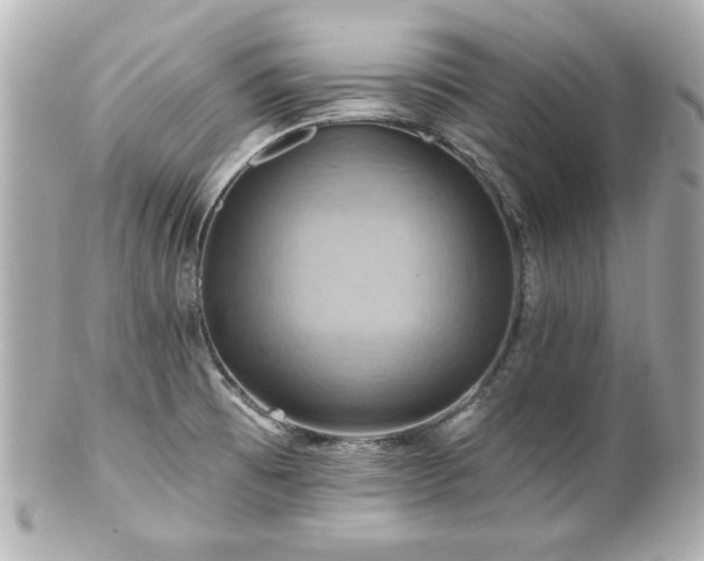X0000100891473200807011146