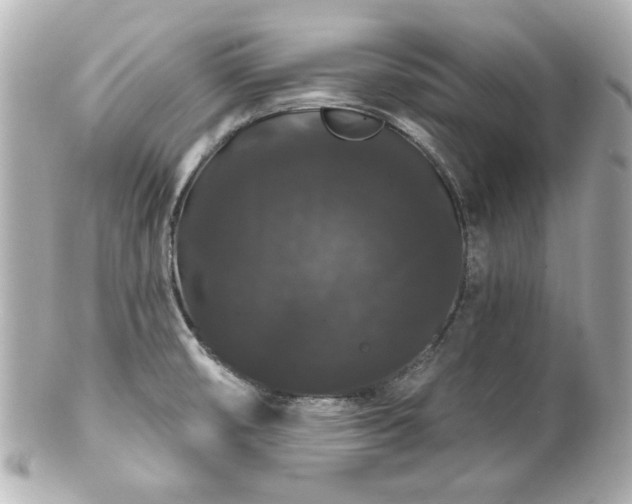 X0000100891474200807011146