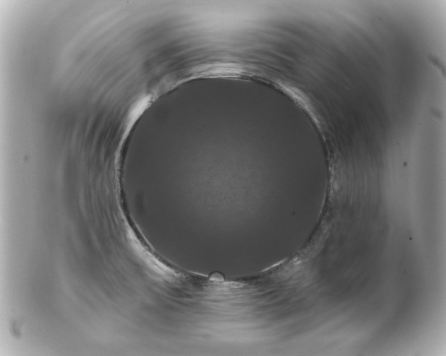 X0000100891475200807011146