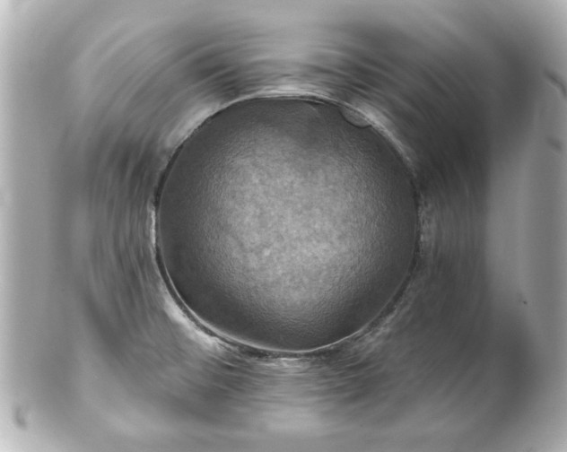 X0000100891476200807011146