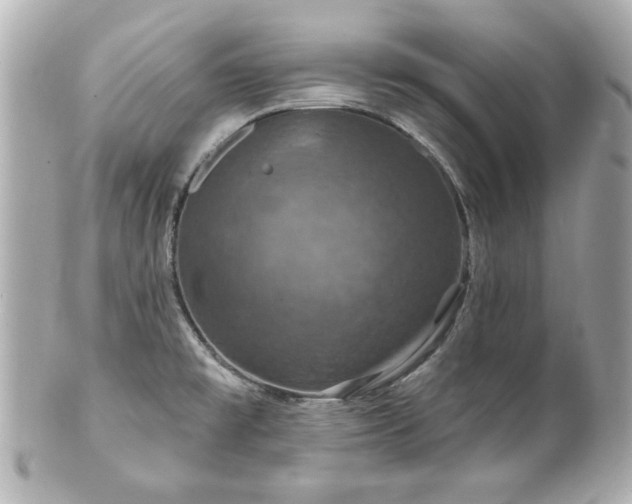 X0000100891477200807011146