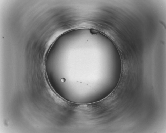 X0000100891478200807011145
