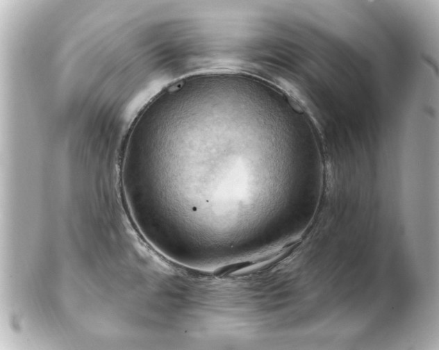 X0000100891480200807011145