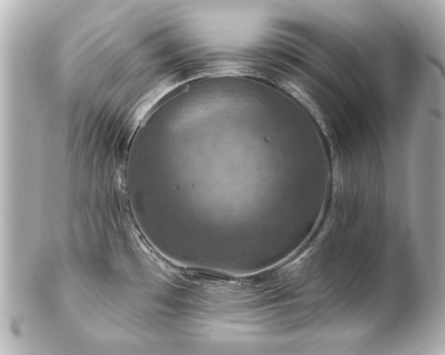 X0000100891481200807011145