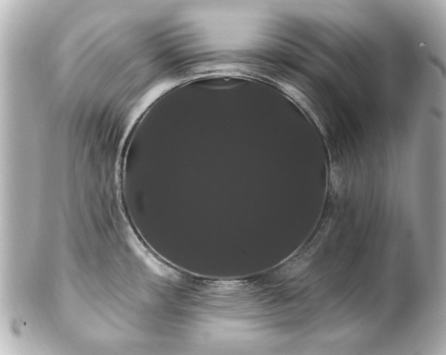 X0000100891482200807011145