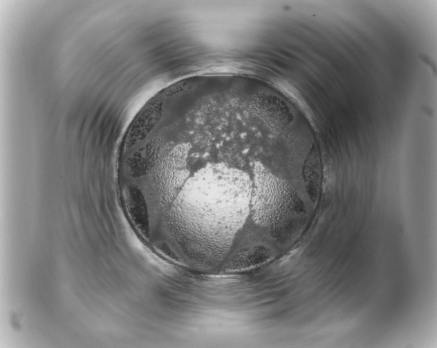 X0000100891483200807011145