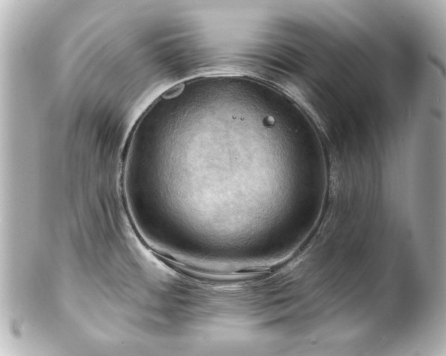 X0000100891484200807011145