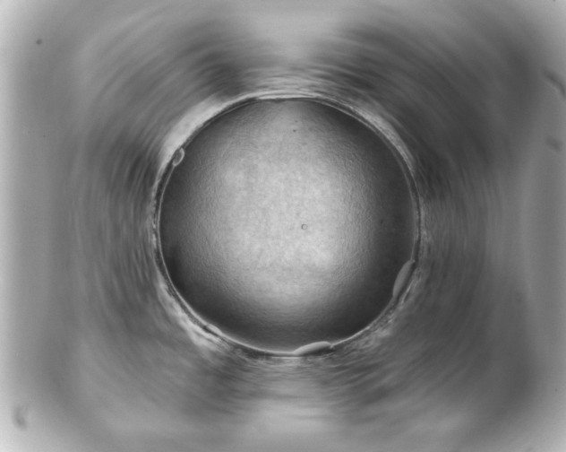 X0000100891485200807011145