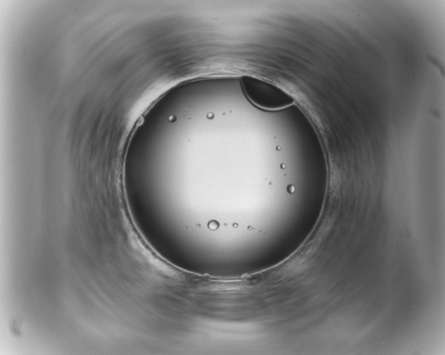 X0000100891486200807011145