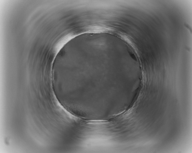 X0000100891487200807011145