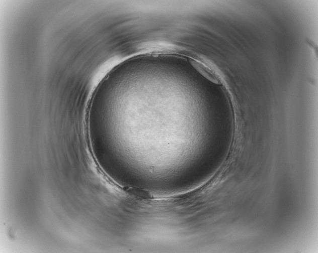 X0000100891488200807011145