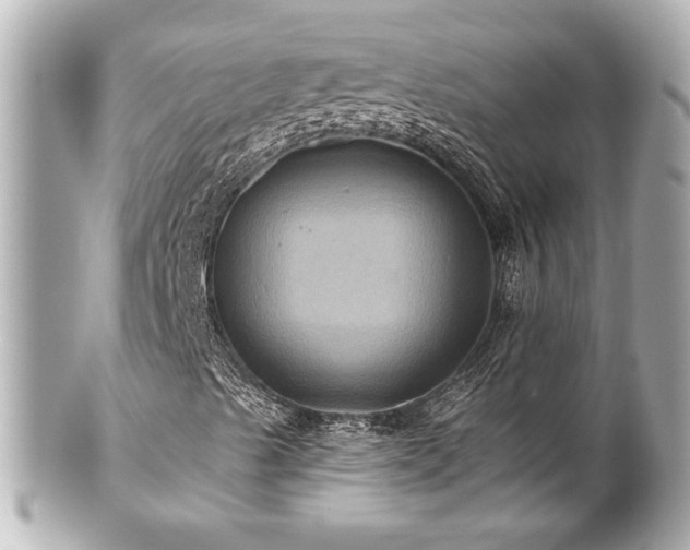 X0000100891489200807011145