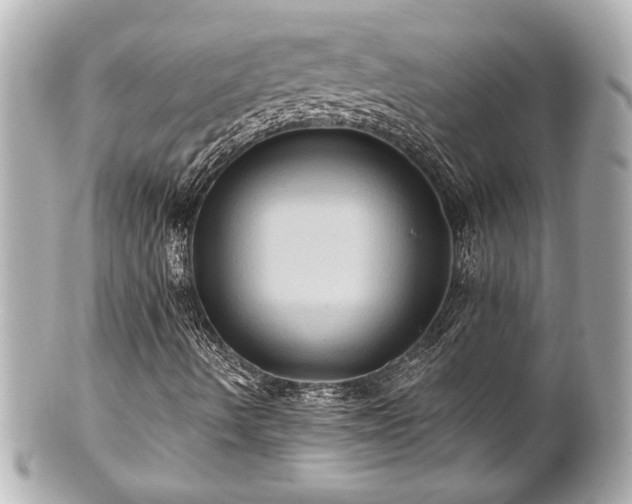 X0000100891490200807011145