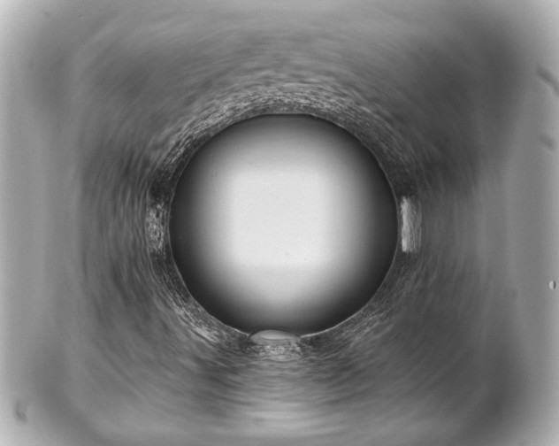 X0000100891491200807011145