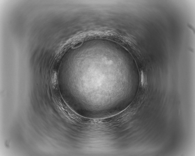 X0000100891492200807011145