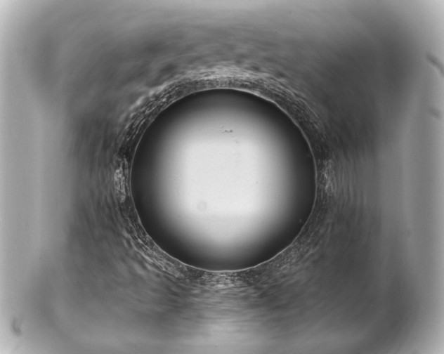 X0000100891493200807011145