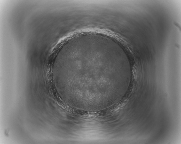 X0000100891494200807011145