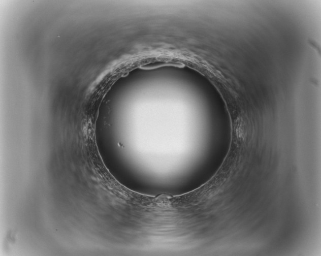 X0000100891495200807011145