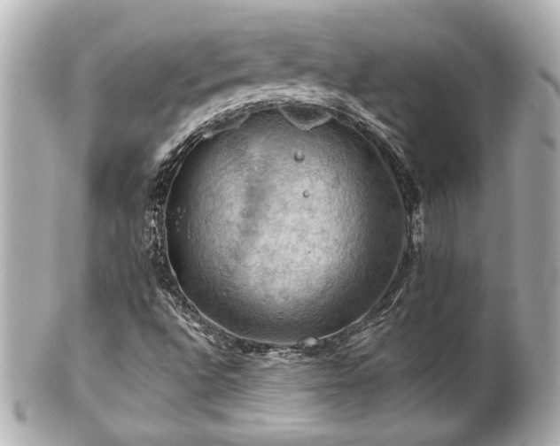 X0000100891496200807011145