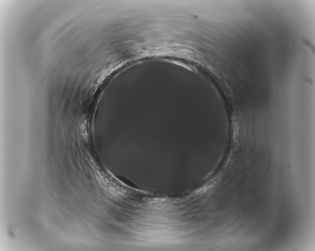 X0000100891497200807011145