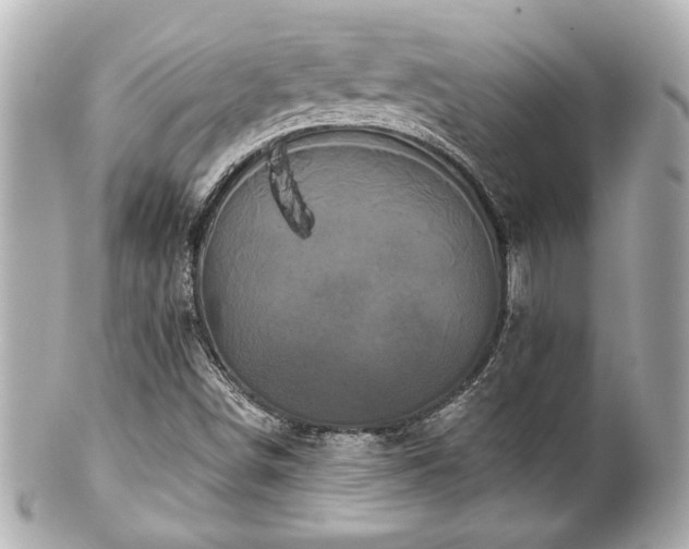 X0000100891498200807011145