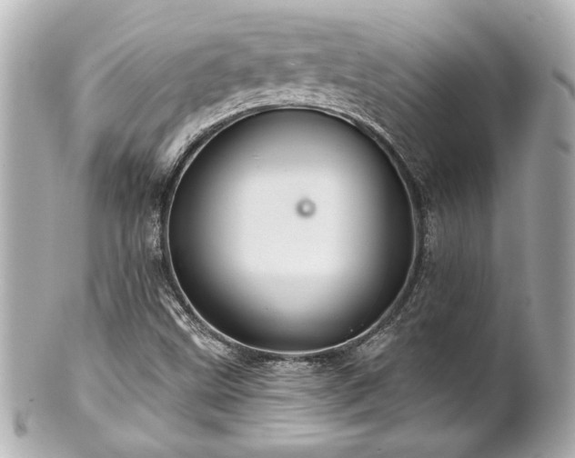 X0000100891499200807011145