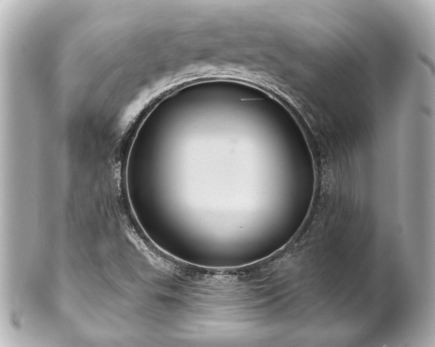 X0000100891503200807011145