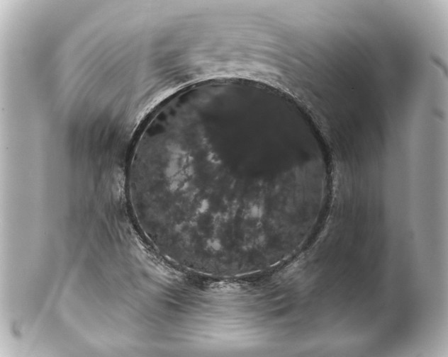 X0000100891505200807011145