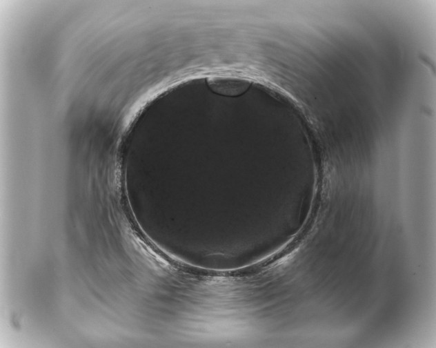 X0000100891506200807011145