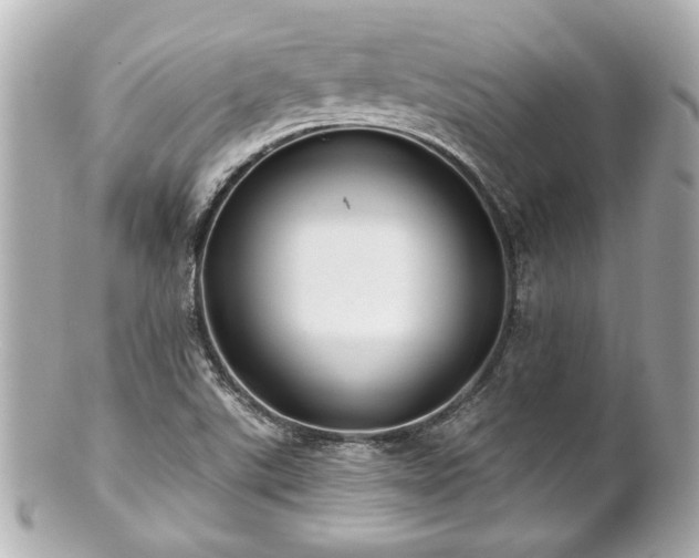 X0000100891507200807011145