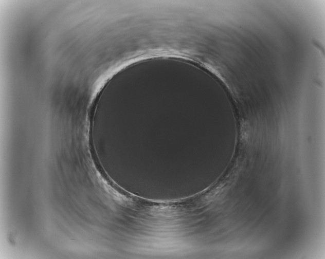 X0000100891508200807011145