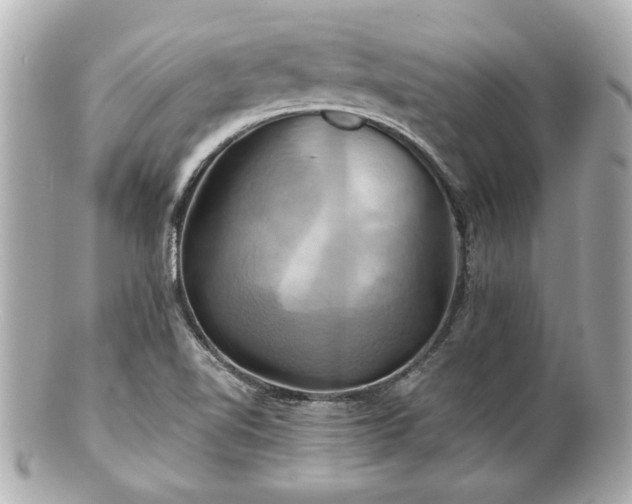 X0000100891510200807011145