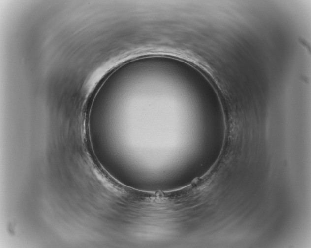 X0000100891511200807011145