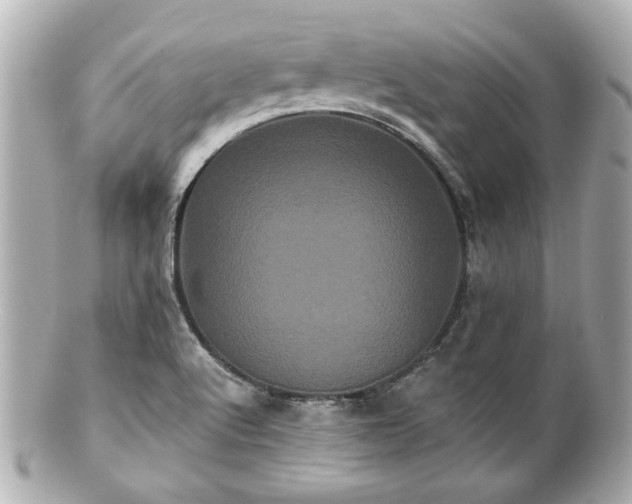X0000100891512200807011145