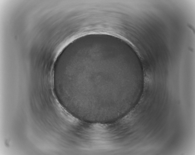 X0000100891514200807011145