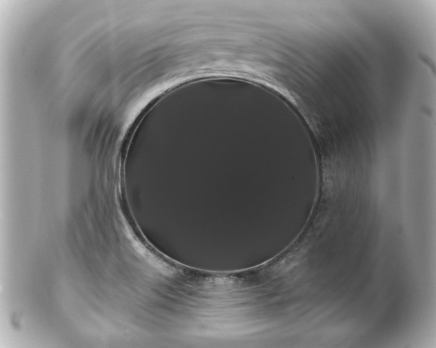 X0000100891515200807011145