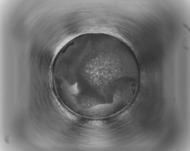 X0000100891517200807011145