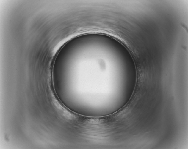 X0000100891518200807011145