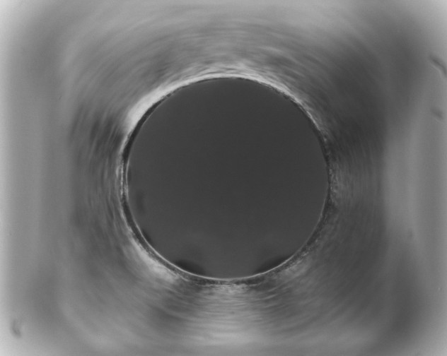 X0000100891519200807011145