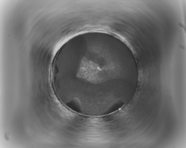 X0000100891520200807011145