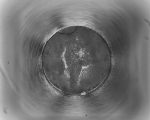 X0000100891521200807011145