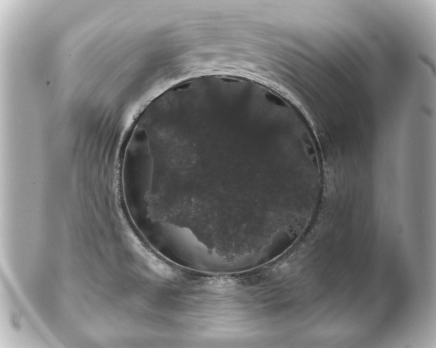 X0000100891525200807011145