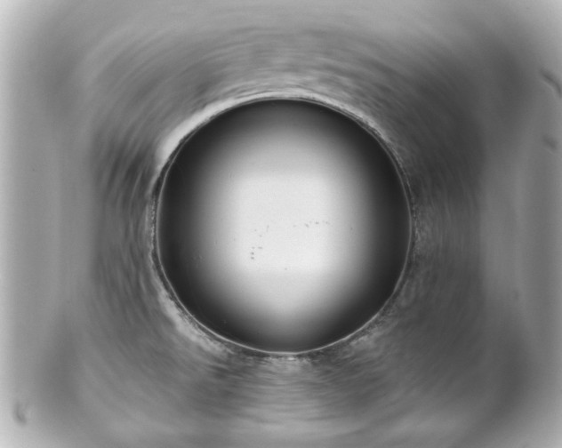 X0000100891526200807011145