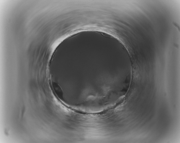 X0000100891527200807011145