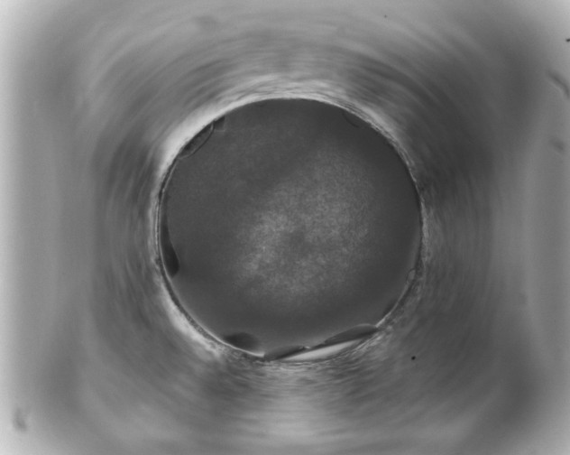 X0000100891528200807011145