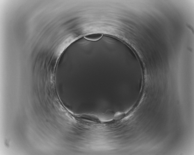 X0000100891529200807011145