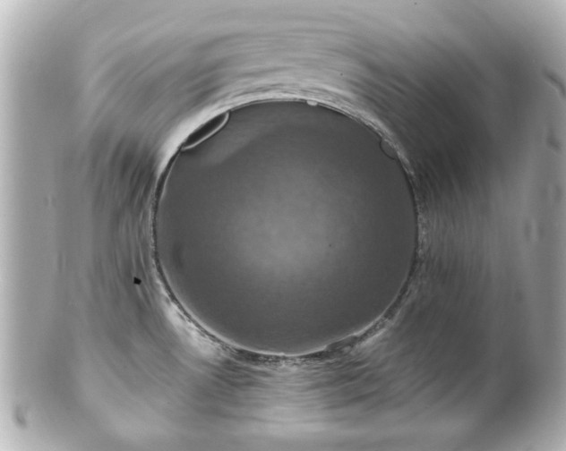 X0000100891530200807011145
